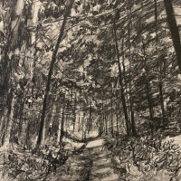 Forest Road