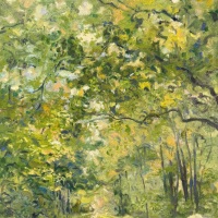 Forest in Spring