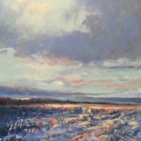 Winter Corn Field