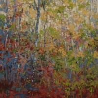 Beech and Green in Fall