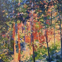 In the Little Canyon