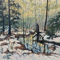 Winter Pool