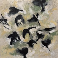 Junco Abstraction