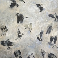Twenty Finches