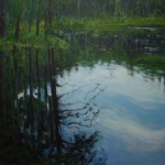 Dark Corner of Wooded Pond