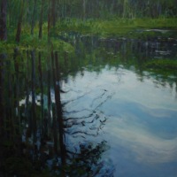 Dark Corner of Wooded Pond