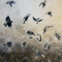 Fifteen Finches