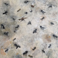 Honey Bees in Flight