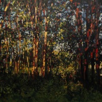 Trees at Environmental Park