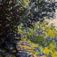 Road Along the Quabbin