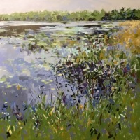 Pond Shore, Mid September