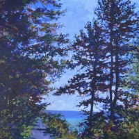 Pines Along the Shore