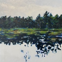 Pond on an Overcast Day