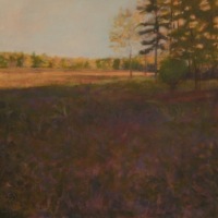 Afternoon Meadow