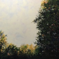 Treetops