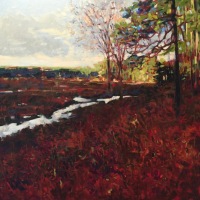 Dusk / Red Wetlands