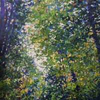 Canopy