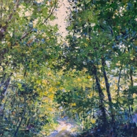 Summer Forest